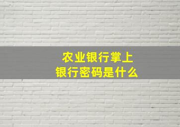 农业银行掌上银行密码是什么