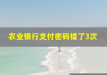 农业银行支付密码错了3次