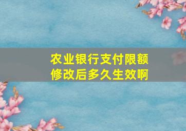 农业银行支付限额修改后多久生效啊