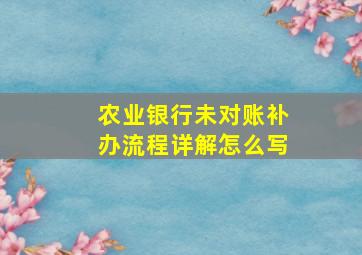 农业银行未对账补办流程详解怎么写