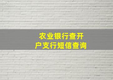 农业银行查开户支行短信查询