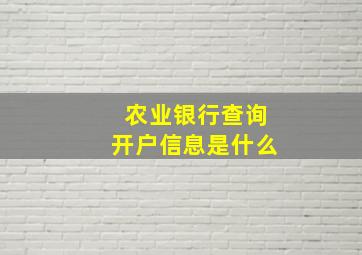 农业银行查询开户信息是什么