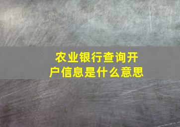 农业银行查询开户信息是什么意思