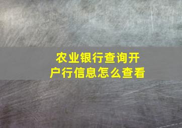 农业银行查询开户行信息怎么查看