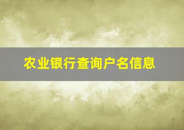 农业银行查询户名信息