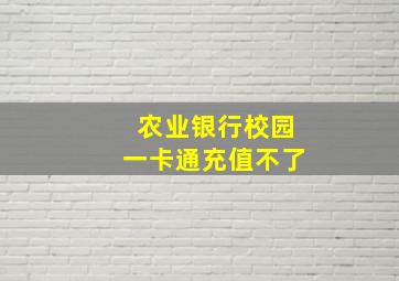 农业银行校园一卡通充值不了