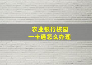 农业银行校园一卡通怎么办理