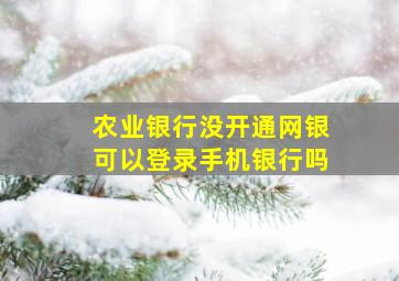 农业银行没开通网银可以登录手机银行吗