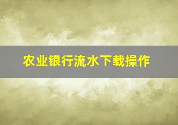 农业银行流水下载操作