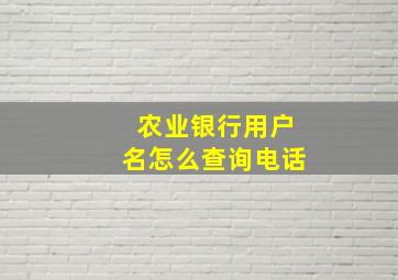 农业银行用户名怎么查询电话