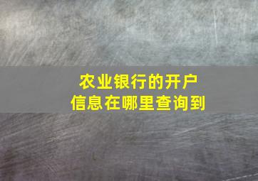 农业银行的开户信息在哪里查询到