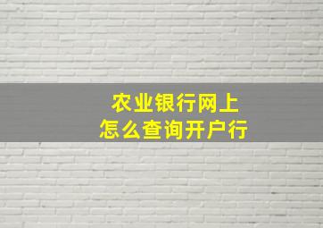 农业银行网上怎么查询开户行