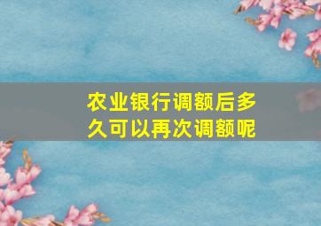 农业银行调额后多久可以再次调额呢