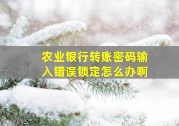 农业银行转账密码输入错误锁定怎么办啊