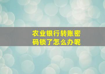 农业银行转账密码锁了怎么办呢