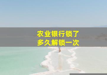 农业银行锁了多久解锁一次