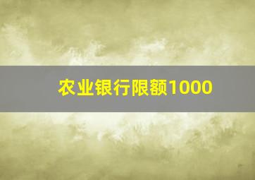 农业银行限额1000