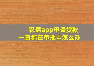 农信app申请贷款一直都在审批中怎么办