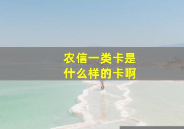 农信一类卡是什么样的卡啊