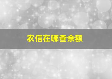 农信在哪查余额