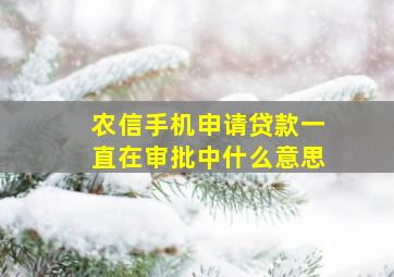 农信手机申请贷款一直在审批中什么意思