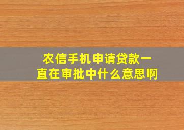 农信手机申请贷款一直在审批中什么意思啊