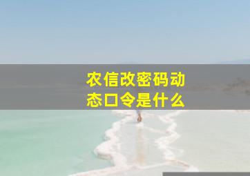 农信改密码动态口令是什么