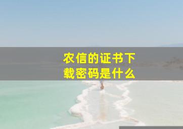 农信的证书下载密码是什么