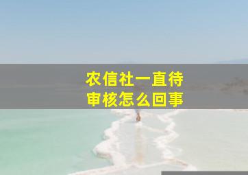 农信社一直待审核怎么回事