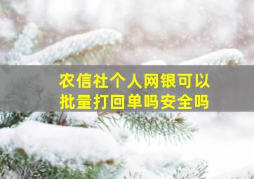 农信社个人网银可以批量打回单吗安全吗