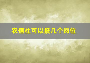 农信社可以报几个岗位