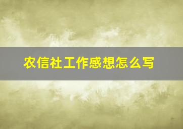 农信社工作感想怎么写