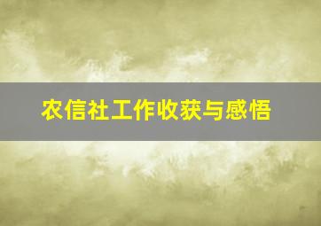 农信社工作收获与感悟