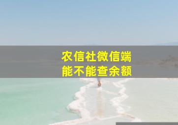 农信社微信端能不能查余额