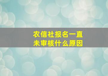 农信社报名一直未审核什么原因