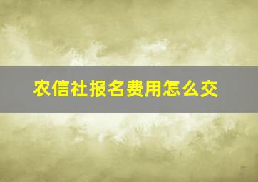 农信社报名费用怎么交