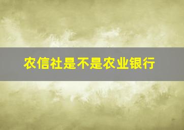 农信社是不是农业银行