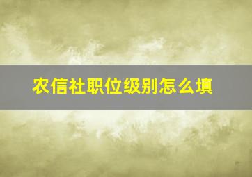 农信社职位级别怎么填