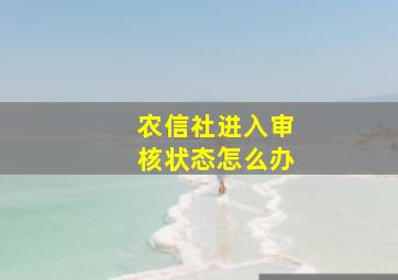 农信社进入审核状态怎么办