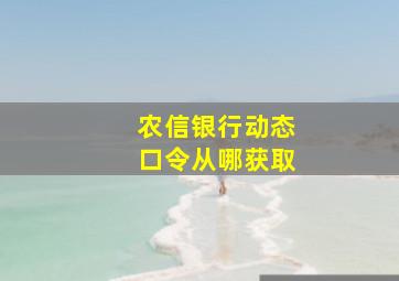 农信银行动态口令从哪获取