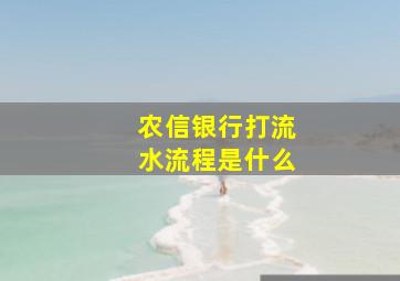 农信银行打流水流程是什么