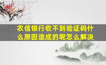 农信银行收不到验证码什么原因造成的呢怎么解决