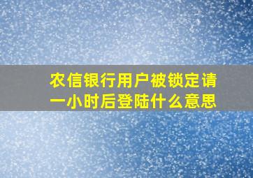 农信银行用户被锁定请一小时后登陆什么意思