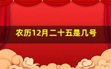 农历12月二十五是几号