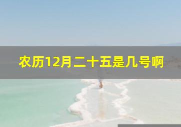 农历12月二十五是几号啊