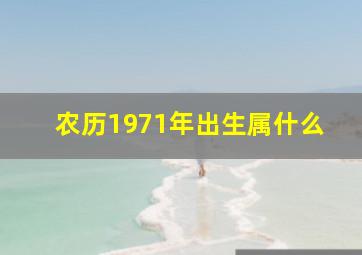 农历1971年出生属什么