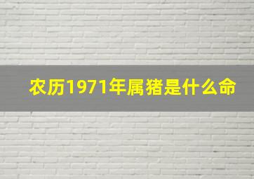 农历1971年属猪是什么命