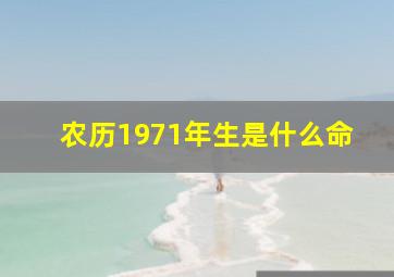 农历1971年生是什么命