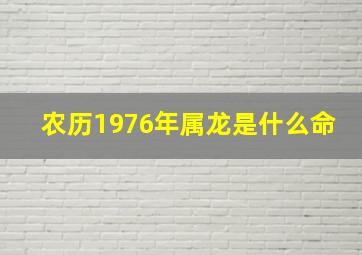 农历1976年属龙是什么命