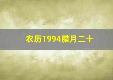 农历1994腊月二十